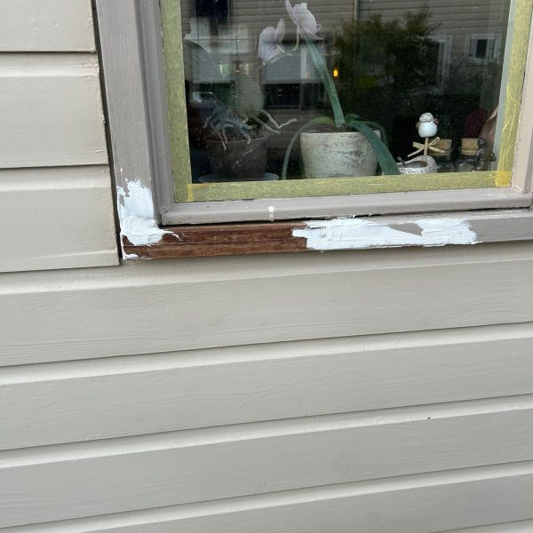 Poolse schilders – huis schilderen in Helmond